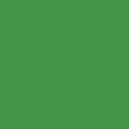 50 - Bright Green 50 - Bright Green