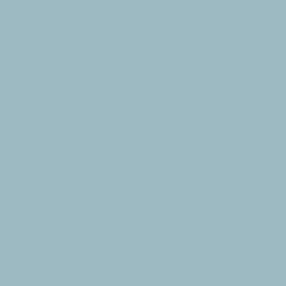 55 - Dusty Blue (1) dusty blue