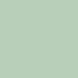 18 - Dusty Green 18 - Dusty Green