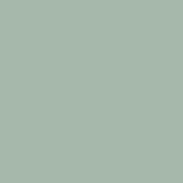 19 - Light Petrol 19 - Light Petrol