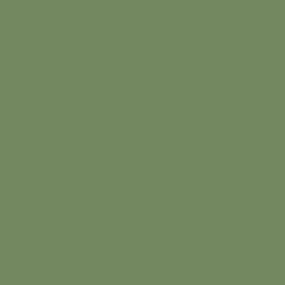 24 - Olive Green