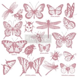 Tampon transparent Redesign ® - Monarch collection - 12" x 12" - Réf. 655350650087 Tampon transparent Redesign ® - Monarch collection - Réf. 655350650087